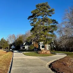 Curved broom-finish concrete driveway lined with mature trees — Old North Concrete Co.