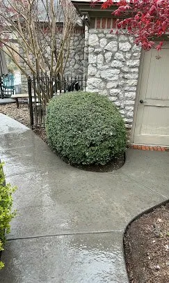 Broom-finish concrete sidewalk leading from the street to a residential entrance — Old North Concrete Co.